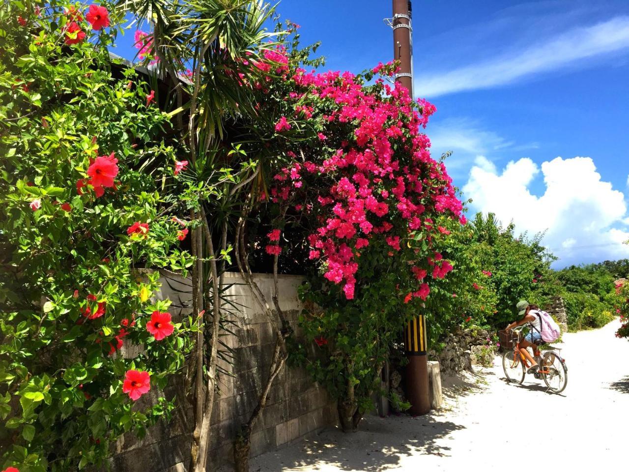 Guesthouse Ho Aloha Ishigaki  Экстерьер фото